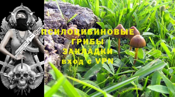 ешки Алексин