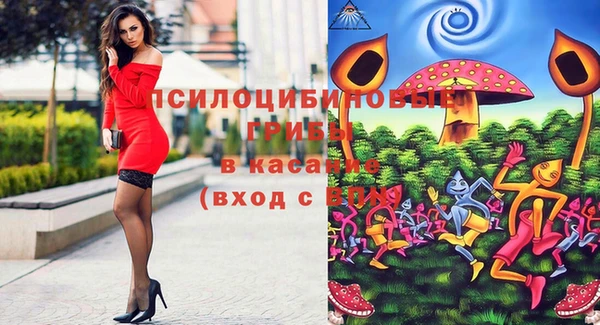 спайс Алзамай