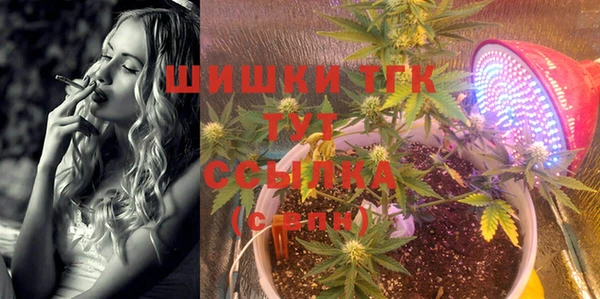 спайс Алзамай